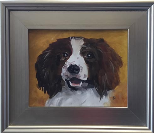 Dog portrait