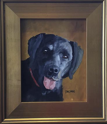 Dog portrait