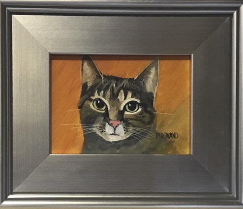 Cat portrait