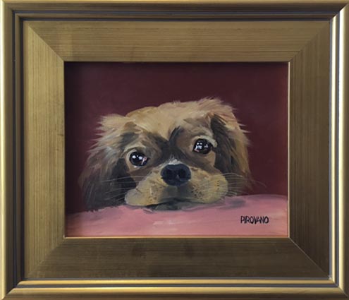Dog portrait