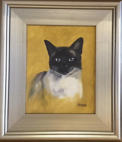 Cat portrait