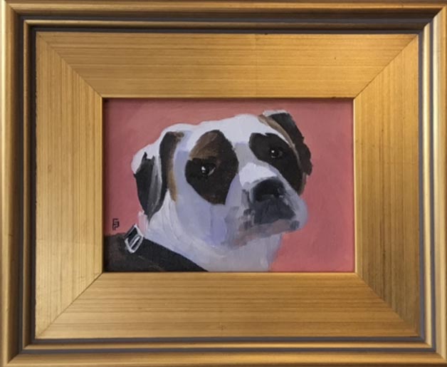 Dog portrait